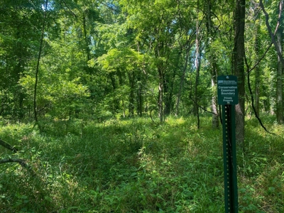 70 Acres Deer/Duck Hunting Property for Sale Madison Parish - image 34