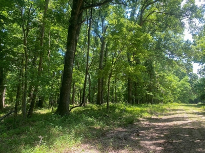 70 Acres Deer/Duck Hunting Property for Sale Madison Parish - image 36