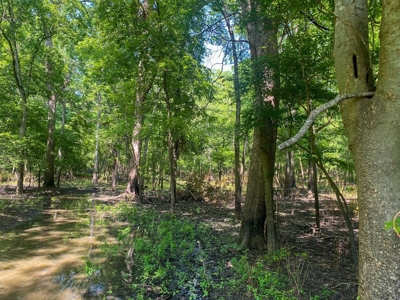 70 Acres Deer/Duck Hunting Property for Sale Madison Parish - image 43