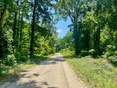 70 Acres Deer/Duck Hunting Property for Sale Madison Parish - image 33