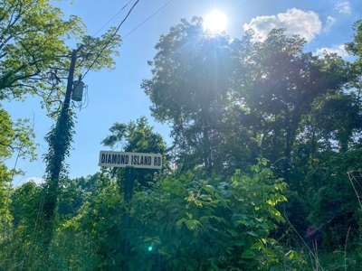 70 Acres Deer/Duck Hunting Property for Sale Madison Parish - image 6