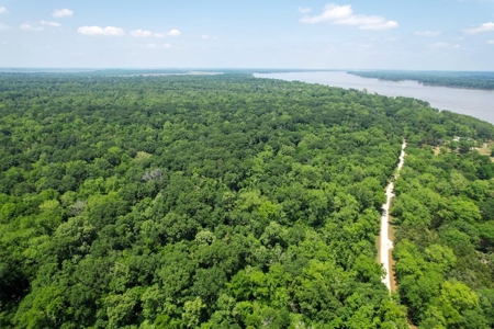 70 Acres Deer/Duck Hunting Property for Sale Madison Parish - image 7
