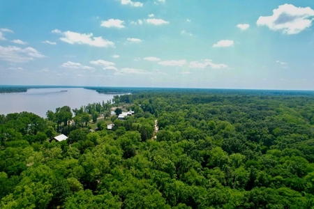 70 Acres Deer/Duck Hunting Property for Sale Madison Parish - image 10