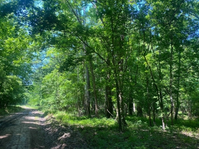 70 Acres Deer/Duck Hunting Property for Sale Madison Parish - image 35