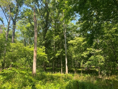 70 Acres Deer/Duck Hunting Property for Sale Madison Parish - image 26