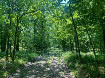 70 Acres Deer/Duck Hunting Property for Sale Madison Parish - image 24