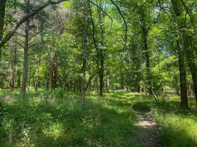 70 Acres Deer/Duck Hunting Property for Sale Madison Parish - image 41