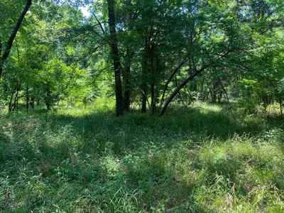 70 Acres Deer/Duck Hunting Property for Sale Madison Parish - image 23