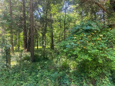 70 Acres Deer/Duck Hunting Property for Sale Madison Parish - image 18