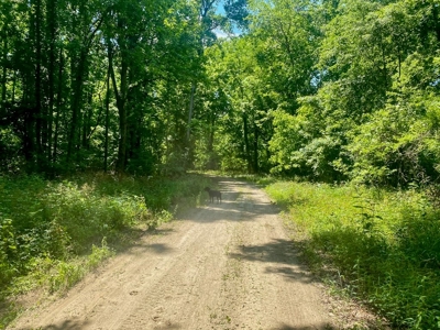 70 Acres Deer/Duck Hunting Property for Sale Madison Parish - image 31