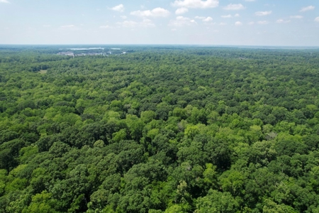 70 Acres Deer/Duck Hunting Property for Sale Madison Parish - image 11