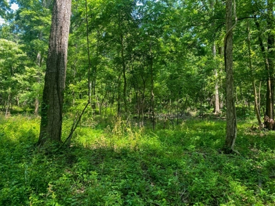 70 Acres Deer/Duck Hunting Property for Sale Madison Parish - image 14