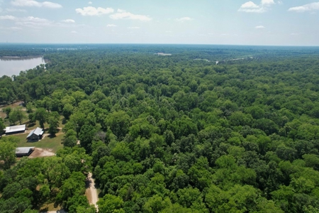 70 Acres Deer/Duck Hunting Property for Sale Madison Parish - image 9