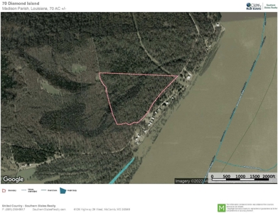 70 Acres Deer/Duck Hunting Property for Sale Madison Parish - image 45