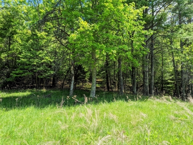 Recreational Property for Sale in Indian Valley VA! - image 3