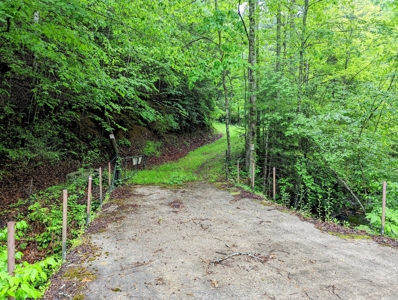 Recreational Property for Sale in Indian Valley VA! - image 4