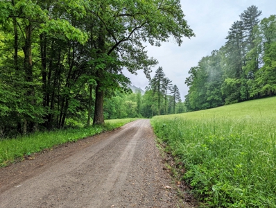Recreational Property for Sale in Indian Valley VA! - image 29