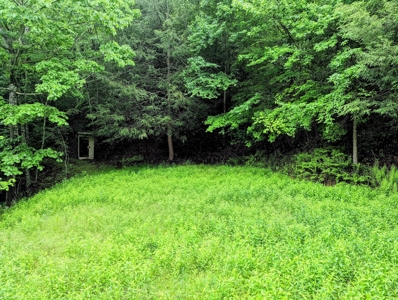 Recreational Property for Sale in Indian Valley VA! - image 27