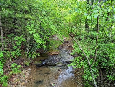 Recreational Property for Sale in Indian Valley VA! - image 5