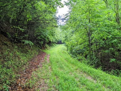 Recreational Property for Sale in Indian Valley VA! - image 28