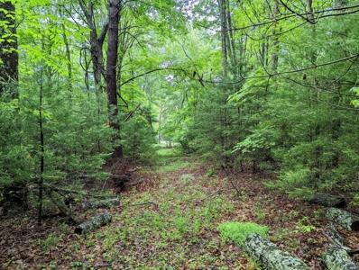 Recreational Property for Sale in Indian Valley VA! - image 13