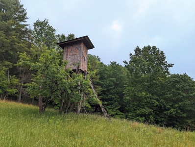 Recreational Property for Sale in Indian Valley VA! - image 8