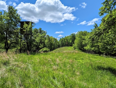Recreational Property for Sale in Indian Valley VA! - image 2
