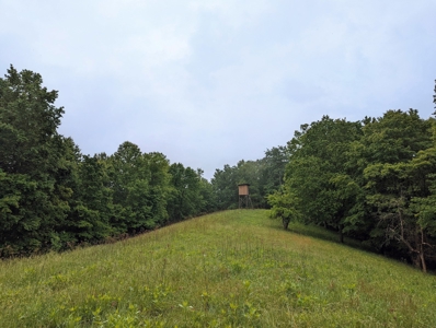 Recreational Property for Sale in Indian Valley VA! - image 9