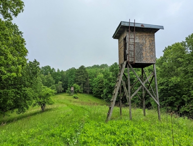 Recreational Property for Sale in Indian Valley VA! - image 11