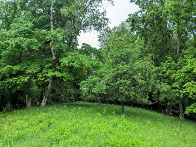 Recreational Property for Sale in Indian Valley VA! - image 10