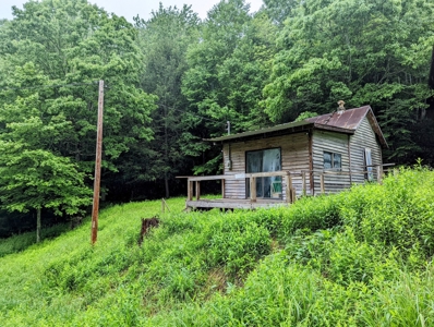 Recreational Property for Sale in Indian Valley VA! - image 6