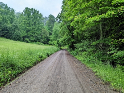 Recreational Property for Sale in Indian Valley VA! - image 30