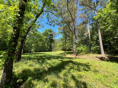 Private Land For Sale In Tennessee, Springs, Hunting - image 1