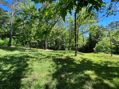 Private Land For Sale In Tennessee, Springs, Hunting - image 2