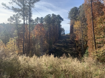 Private Land For Sale In Tennessee, Springs, Hunting - image 15