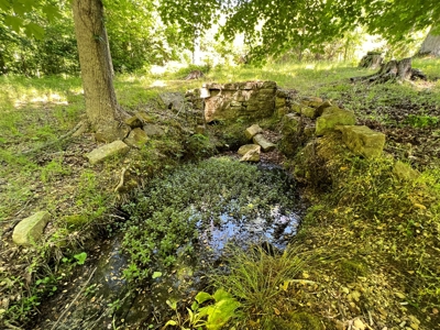 Private Land For Sale In Tennessee, Springs, Hunting - image 5