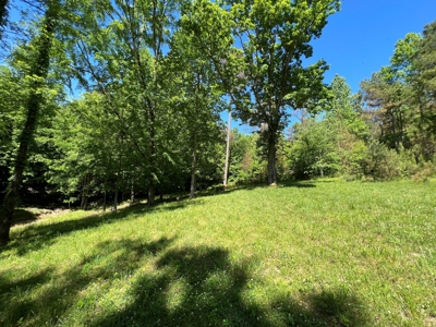 Private Land For Sale In Tennessee, Springs, Hunting - image 4