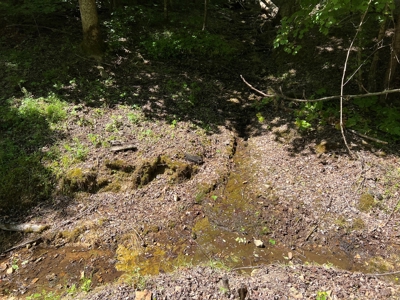 Private Land For Sale In Tennessee, Springs, Hunting - image 8