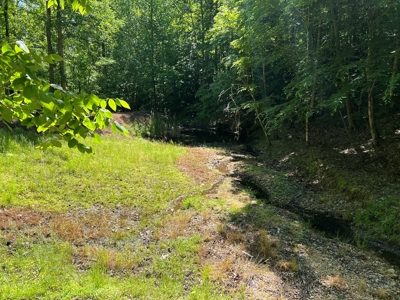 Private Land For Sale In Tennessee, Springs, Hunting - image 9