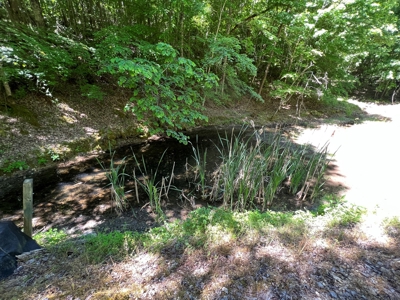 Private Land For Sale In Tennessee, Springs, Hunting - image 10