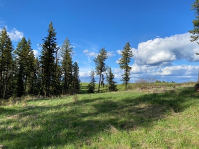 Rural Clearwater County, Idaho Property for Sale! - image 10