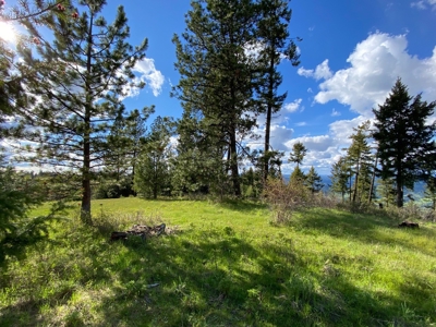 Rural Clearwater County, Idaho Property for Sale! - image 5