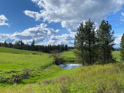 Rural Clearwater County, Idaho Property for Sale! - image 2