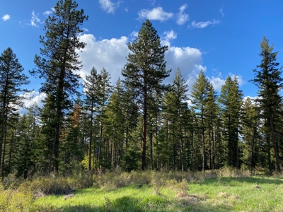 Rural Clearwater County, Idaho Property for Sale! - image 11