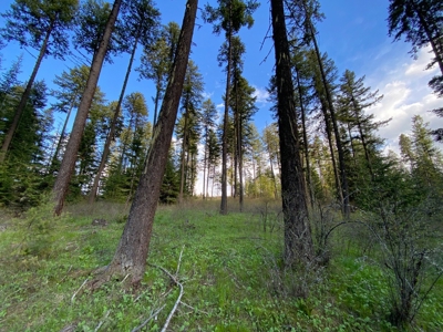 Rural Clearwater County, Idaho Property for Sale! - image 8