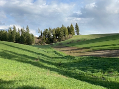 Rural Clearwater County, Idaho Property for Sale! - image 13