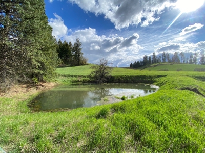 Rural Clearwater County, Idaho Property for Sale! - image 1