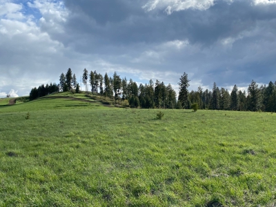Rural Clearwater County, Idaho Property for Sale! - image 6