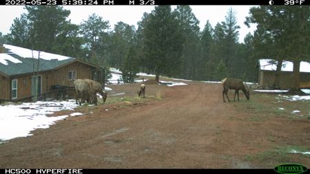 Colorado Cabin New Barn 39 Acres &  Borders Government Land - image 2