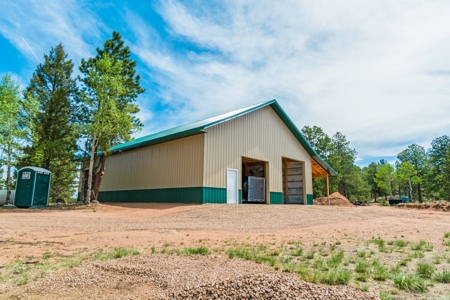 Colorado Cabin New Barn 39 Acres &  Borders Government Land - image 36